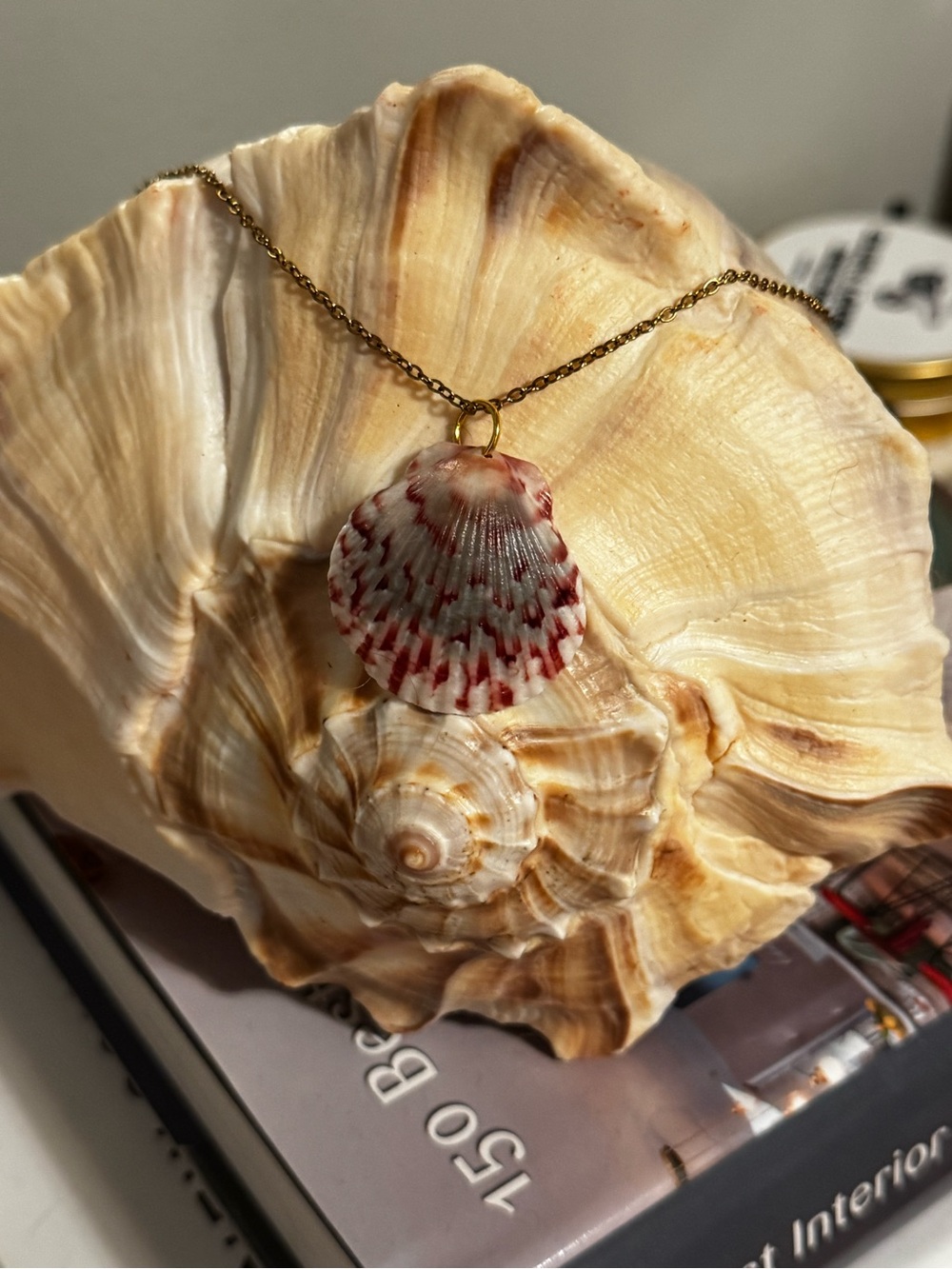 Gold-Chain Red and White Seashell Pendant Necklace - Women Jewelry